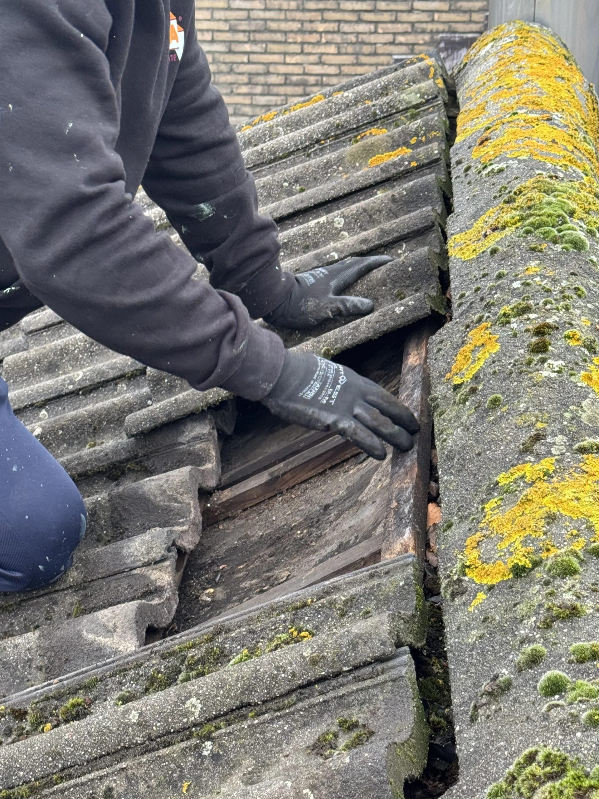 Ernstige lekkage pannendak met spoed verholpen in Steenbergen 1